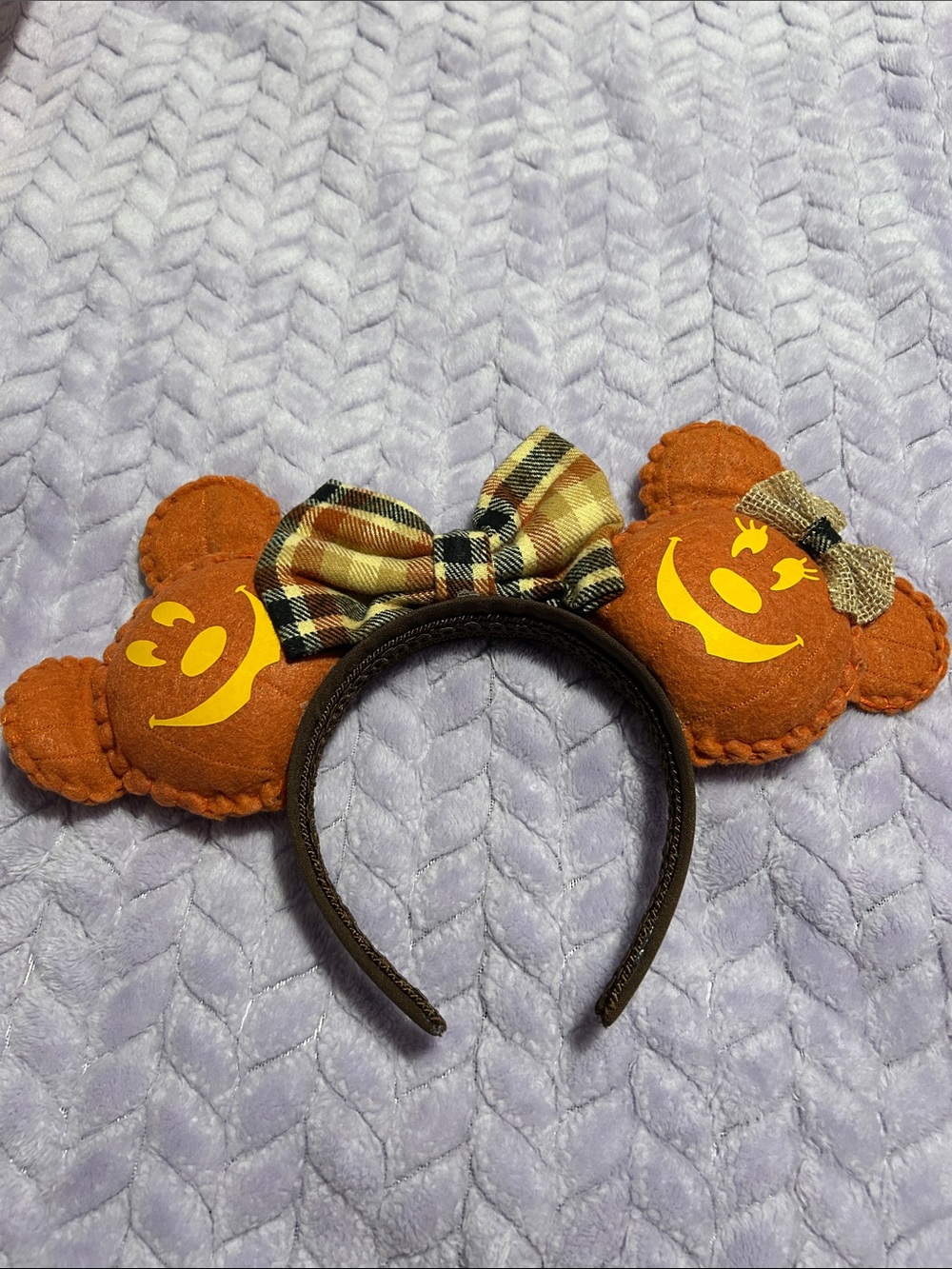 Fall Mickey Ears